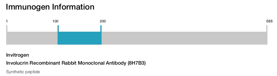 Involucrin Recombinant Rabbit Monoclonal Antibody (8H7B3)