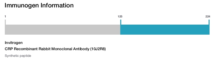 CRP Recombinant Rabbit Monoclonal Antibody (10J2R8)