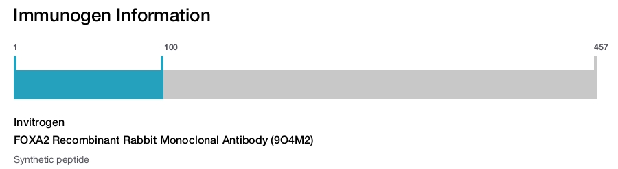 FOXA2 Recombinant Rabbit Monoclonal Antibody (9O4M2)