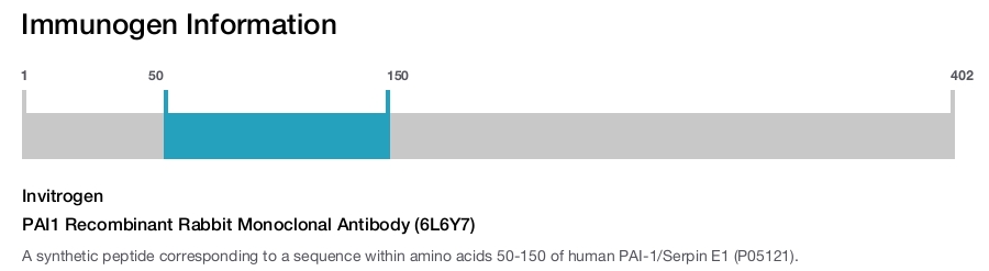 PAI1 Recombinant Rabbit Monoclonal Antibody (6L6Y7)