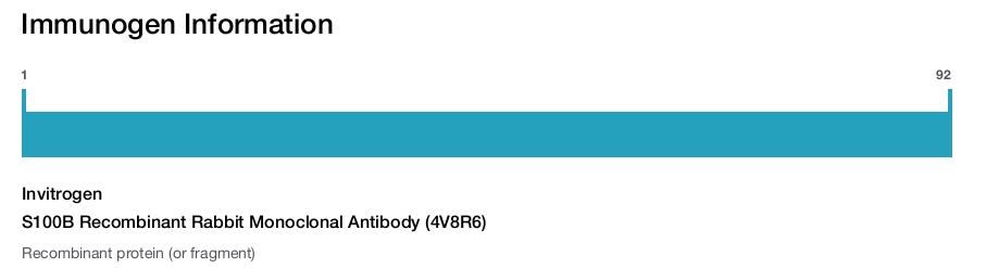 S100B Recombinant Rabbit Monoclonal Antibody (4V8R6)