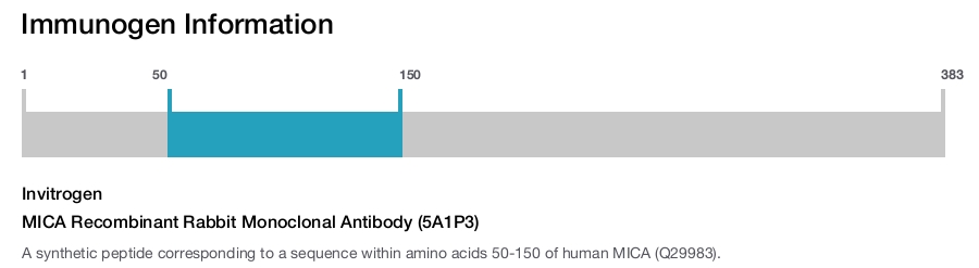 MICA Recombinant Rabbit Monoclonal Antibody (5A1P3)