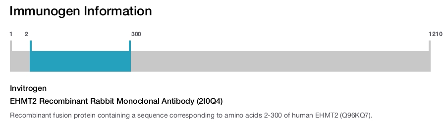 EHMT2 Recombinant Rabbit Monoclonal Antibody (2I0Q4)