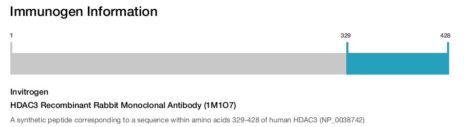 HDAC3 Recombinant Rabbit Monoclonal Antibody (1M1O7)