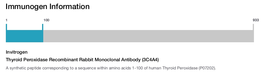 Thyroid Peroxidase Recombinant Rabbit Monoclonal Antibody (3C4A4)
