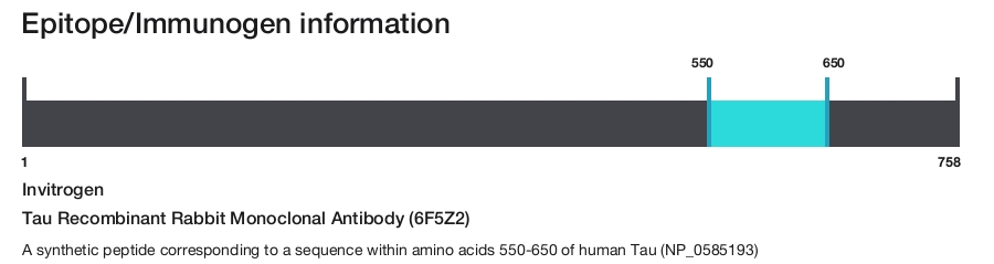Tau Recombinant Rabbit Monoclonal Antibody (6F5Z2)