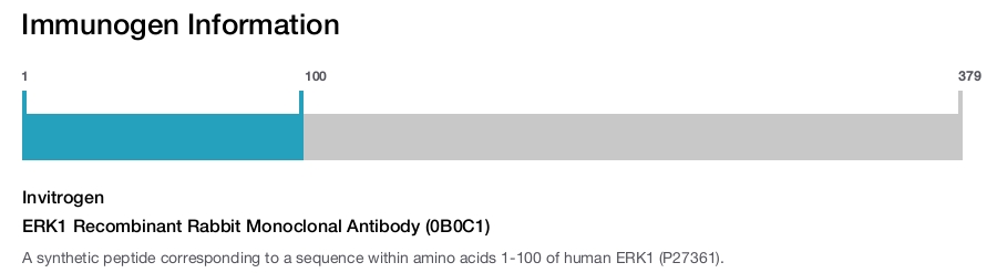 ERK1 Recombinant Rabbit Monoclonal Antibody (0B0C1)
