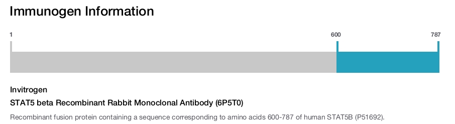 STAT5 beta Recombinant Rabbit Monoclonal Antibody (6P5T0)