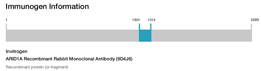 ARID1A Recombinant Rabbit Monoclonal Antibody (9D4J6)