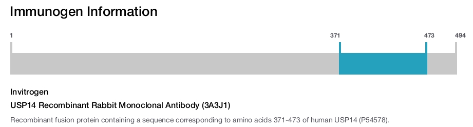 USP14 Recombinant Rabbit Monoclonal Antibody (3A3J1)