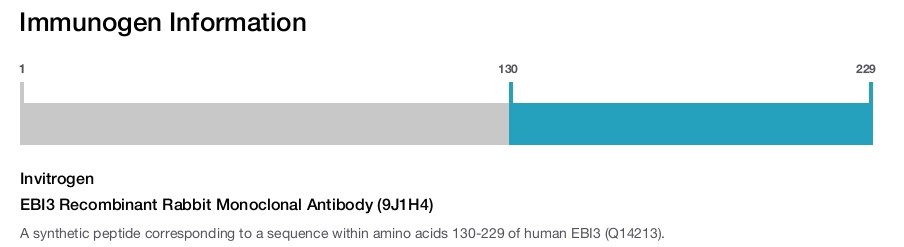 EBI3 Recombinant Rabbit Monoclonal Antibody (9J1H4)