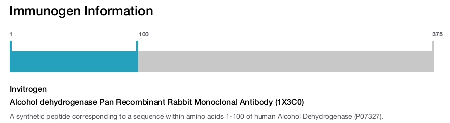Alcohol dehydrogenase Pan Recombinant Rabbit Monoclonal Antibody (1X3C0)
