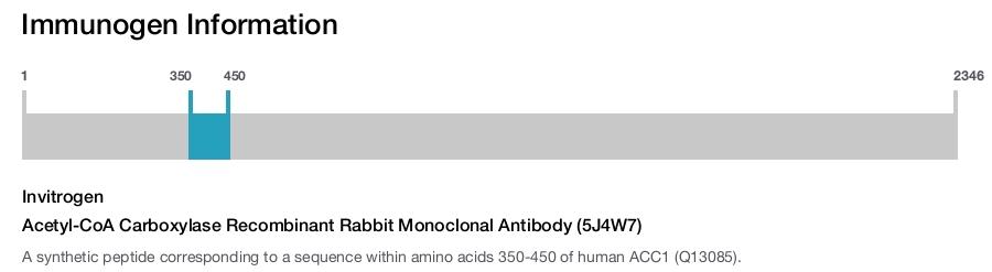 Acetyl-CoA Carboxylase Recombinant Rabbit Monoclonal Antibody (5J4W7)
