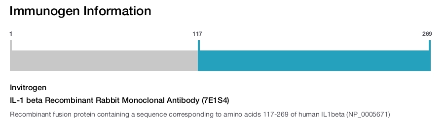 IL-1 beta Recombinant Rabbit Monoclonal Antibody (7E1S4)