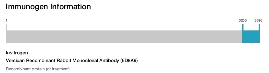 Versican Recombinant Rabbit Monoclonal Antibody (6D8K9)