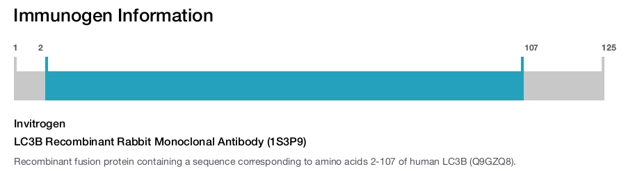 LC3B Recombinant Rabbit Monoclonal Antibody (1S3P9)