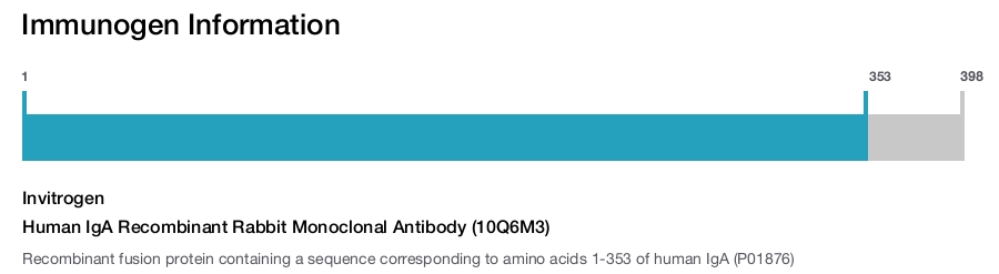 Human IgA Recombinant Rabbit Monoclonal Antibody (10Q6M3)
