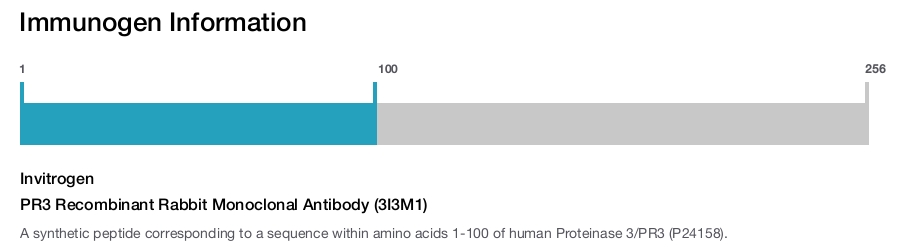 PR3 Recombinant Rabbit Monoclonal Antibody (3I3M1)