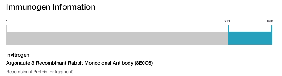 Argonaute 3 Recombinant Rabbit Monoclonal Antibody (8E0O6)