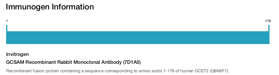 GCSAM Recombinant Rabbit Monoclonal Antibody (7D1A5)