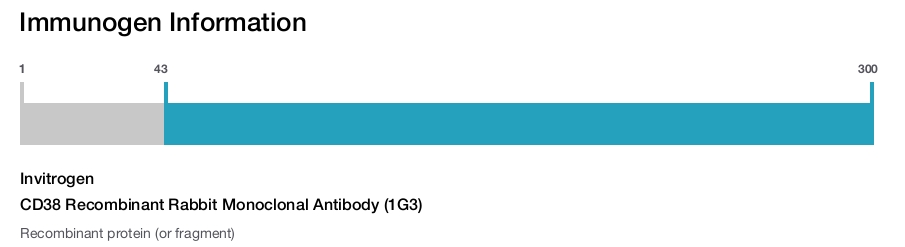 CD38 Recombinant Rabbit Monoclonal Antibody (1G3)
