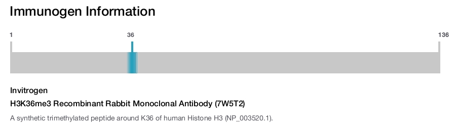 H3K36me3 Recombinant Rabbit Monoclonal Antibody (7W5T2)