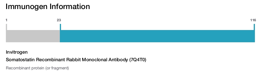 Somatostatin Recombinant Rabbit Monoclonal Antibody (7Q4T0)