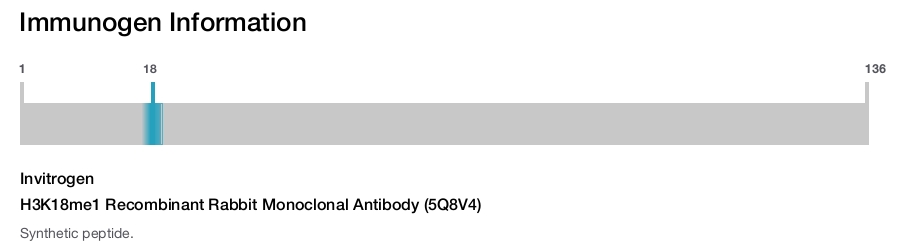 H3K18me1 Recombinant Rabbit Monoclonal Antibody (5Q8V4)