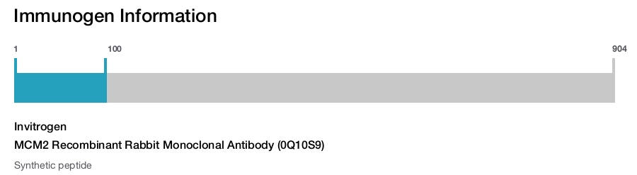 MCM2 Recombinant Rabbit Monoclonal Antibody (0Q10S9)