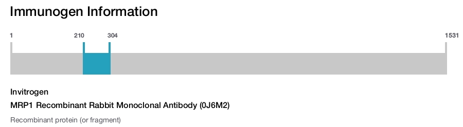 MRP1 Recombinant Rabbit Monoclonal Antibody (0J6M2)