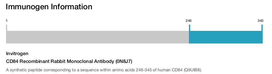 CD84 Recombinant Rabbit Monoclonal Antibody (0N8J7)