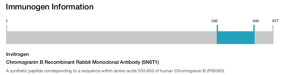 Chromogranin B Recombinant Rabbit Monoclonal Antibody (5N6T1)