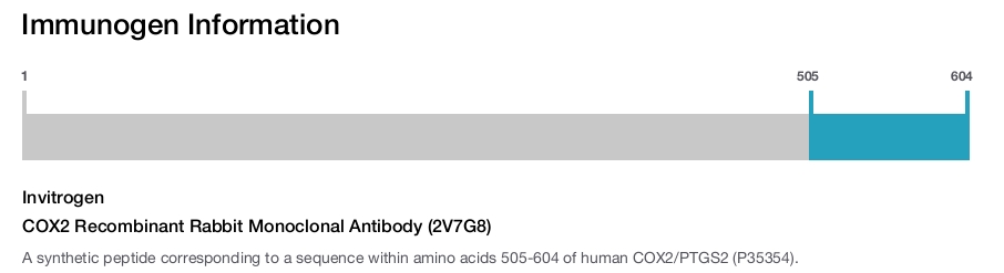 COX2 Recombinant Rabbit Monoclonal Antibody (2V7G8)