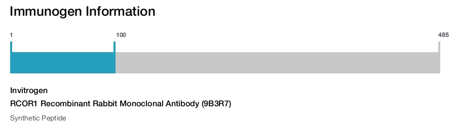 RCOR1 Recombinant Rabbit Monoclonal Antibody (9B3R7)