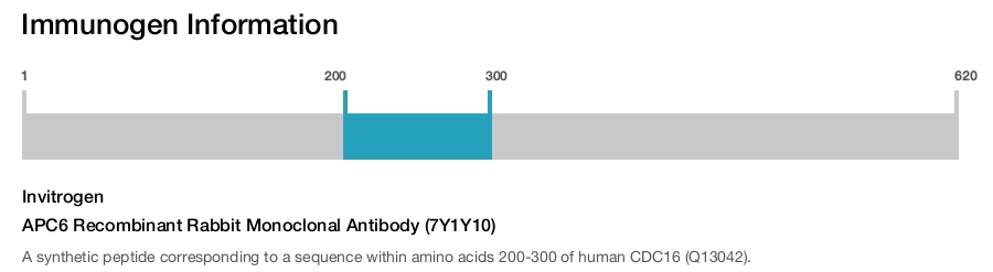 APC6 Recombinant Rabbit Monoclonal Antibody (7Y1Y10)