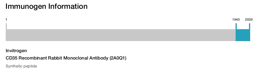 CD35 Recombinant Rabbit Monoclonal Antibody (2A0Q1)