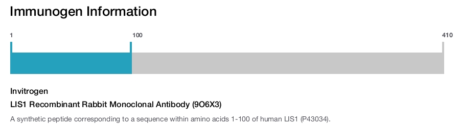 LIS1 Recombinant Rabbit Monoclonal Antibody (9O6X3)