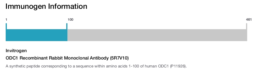 ODC1 Recombinant Rabbit Monoclonal Antibody (5R7V10)