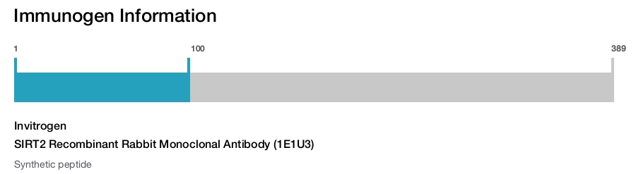 SIRT2 Recombinant Rabbit Monoclonal Antibody (1E1U3)