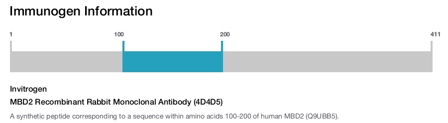 MBD2 Recombinant Rabbit Monoclonal Antibody (4D4D5)