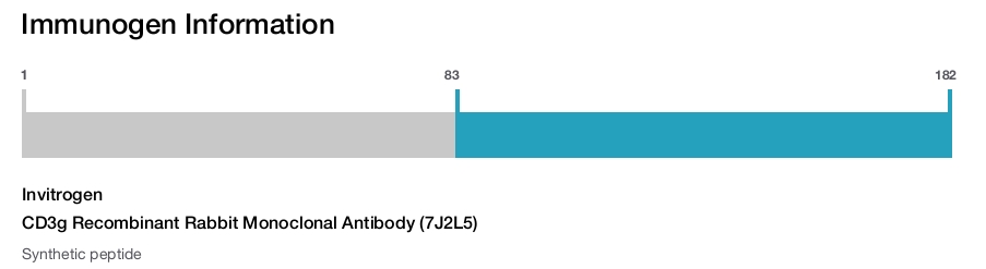 CD3g Recombinant Rabbit Monoclonal Antibody (7J2L5)