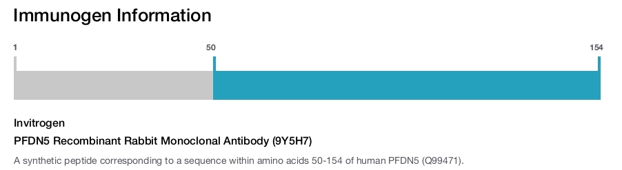 PFDN5 Recombinant Rabbit Monoclonal Antibody (9Y5H7)