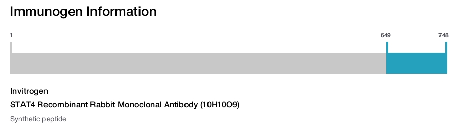 STAT4 Recombinant Rabbit Monoclonal Antibody (10H10O9)