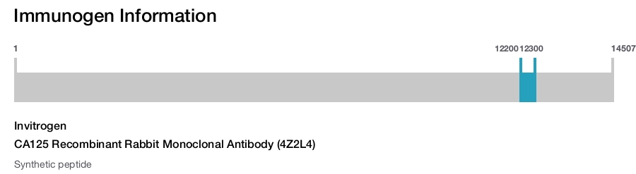 CA125 Recombinant Rabbit Monoclonal Antibody (4Z2L4)