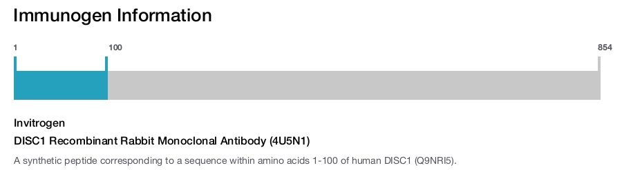 DISC1 Recombinant Rabbit Monoclonal Antibody (4U5N1)