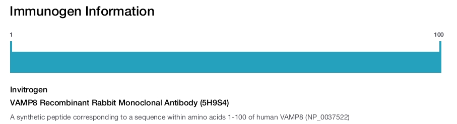 VAMP8 Recombinant Rabbit Monoclonal Antibody (5H9S4)