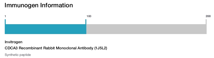 CDCA3 Recombinant Rabbit Monoclonal Antibody (1J5L2)