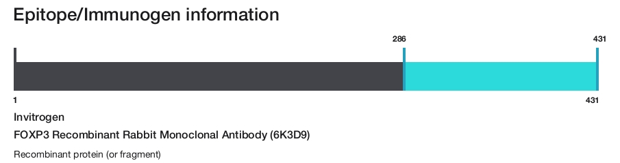 FOXP3 Recombinant Rabbit Monoclonal Antibody (6K3D9)