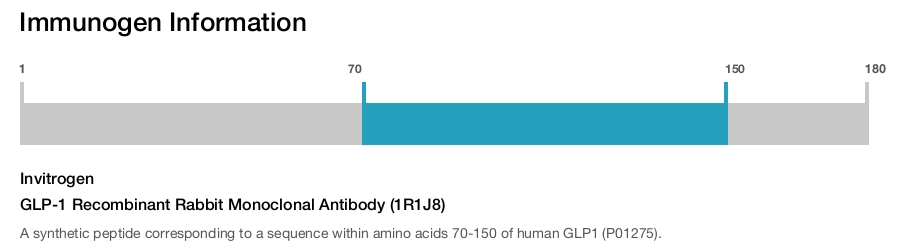 GLP-1 Recombinant Rabbit Monoclonal Antibody (1R1J8)
