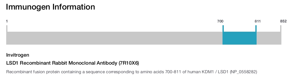 LSD1 Recombinant Rabbit Monoclonal Antibody (7R10X6)